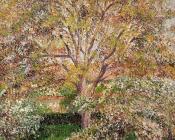 卡米耶毕沙罗 - Walnut and Apple Trees in Bloom, Eragny